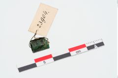 Foto von Bronzeröllchen (NHMW-PRAE-023904)
